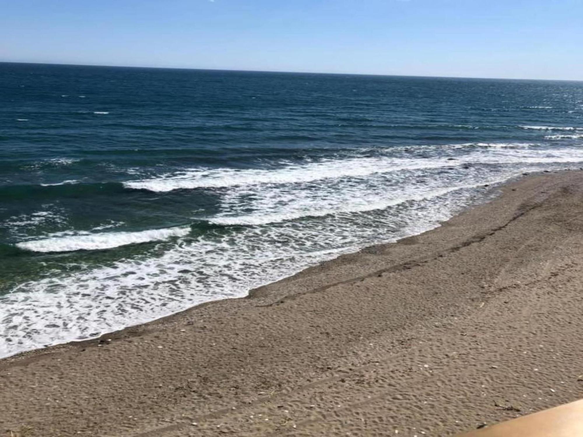 Pleasant In Near Playa